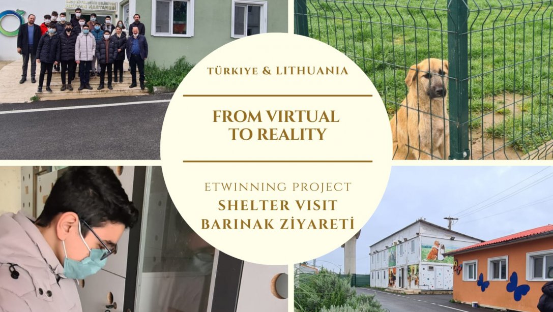 From Virtual To Reality eTwinning Proje Ekibinden Barınak Ziyaretleri ve Mama Bağışı